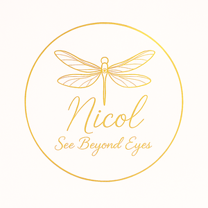 Logo Nicol - See Beyond Eyes